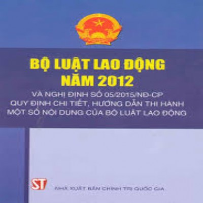 Các quy định của Bộ luật lao động đối với người lao động giúp việc gia đình.